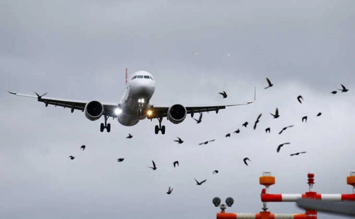 Ukrayna danışıqları öncəsi kritik qərar: İtaliya Rusiya təyyarəsinə icazə verib 