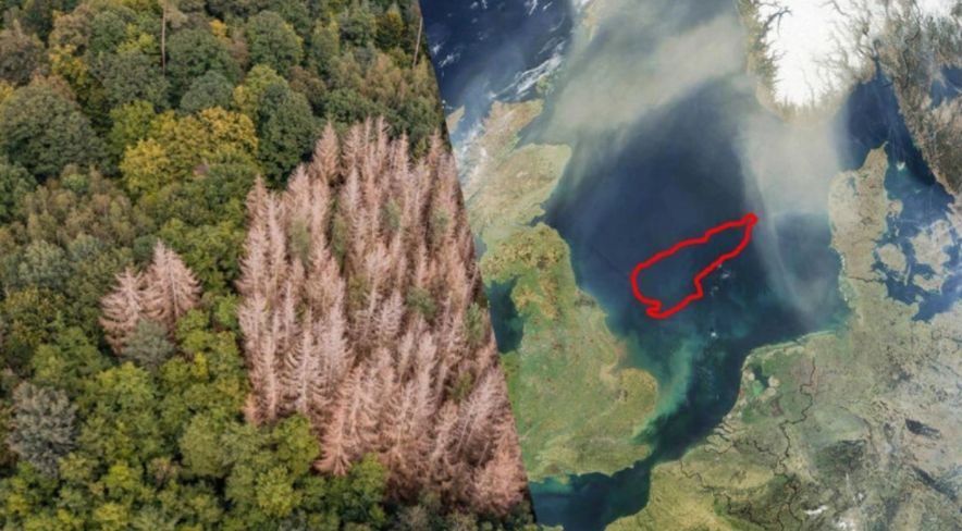 &ldquo;ABŞ H&ouml;rm&uuml;z boğazına nəzarəti tam olaraq İranın əlindən alacaq&rdquo; - ŞƏRH
