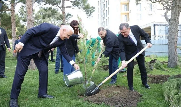 Xətaidə ağacəkmə aksiyası keçirilib