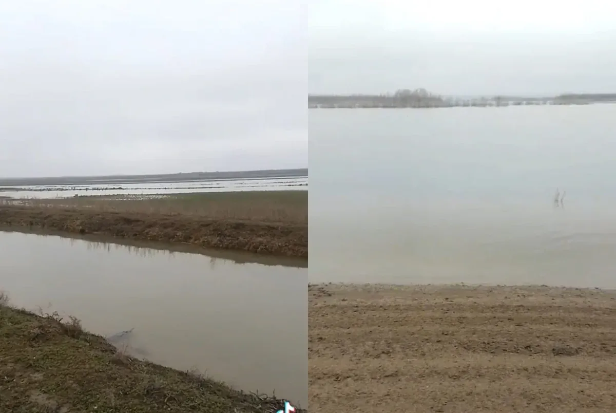 Kür çayının daşması nəticəsində Samuxda əkin sahələrini su basıb