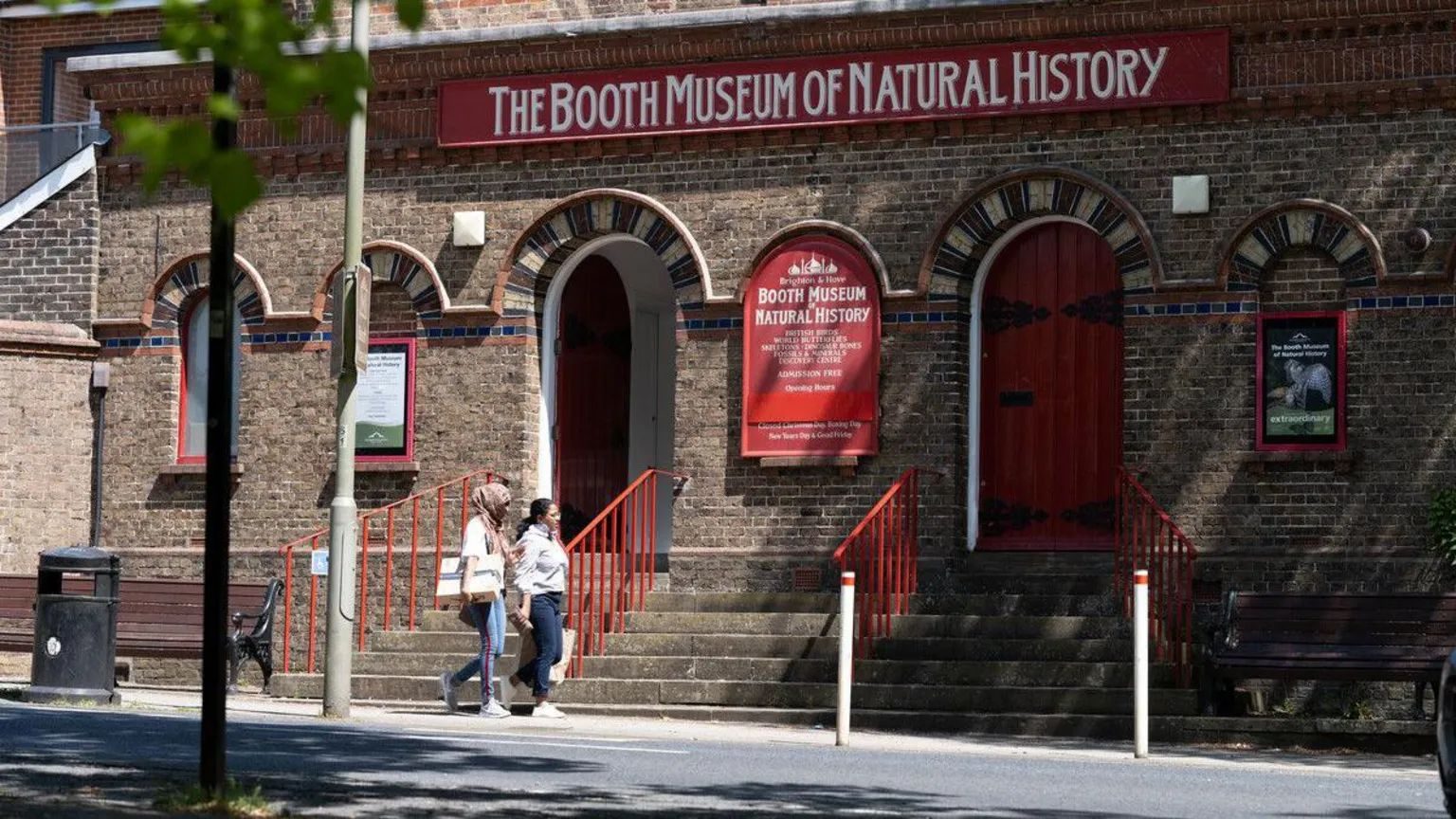 Brighton Təbiət Tarixi Muzeyi yenilənir: £140 minlik dəstək