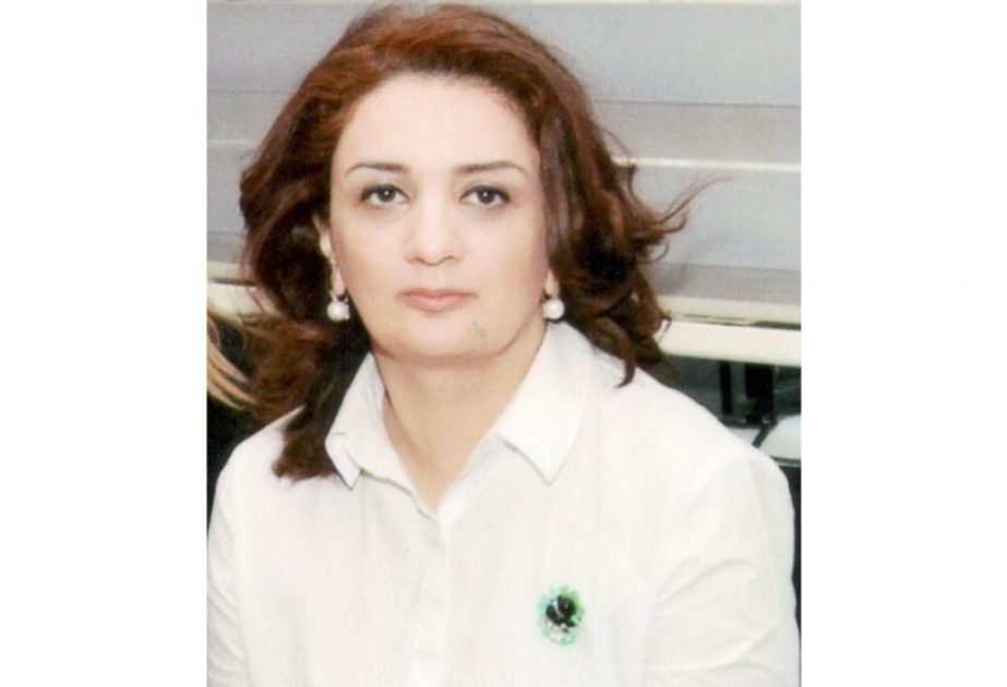 Barışa xidmət edən diplomatik körpü: Azərbaycanın sülh doktrinası