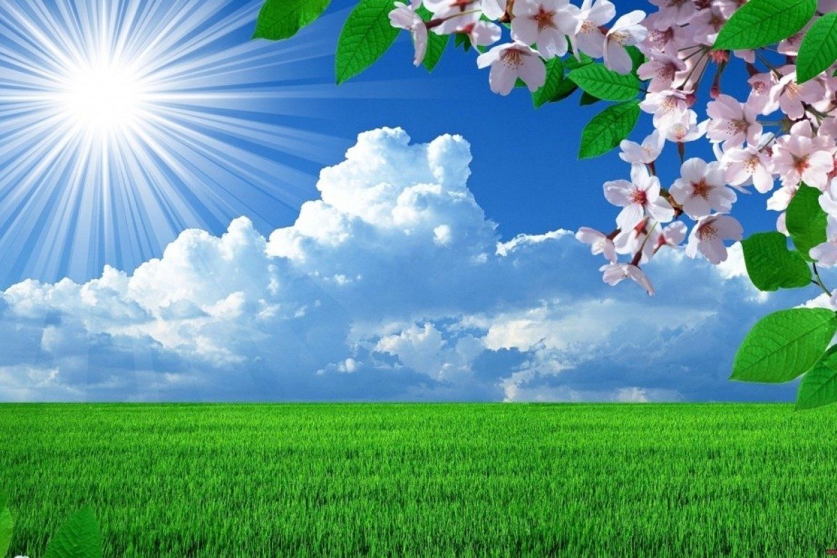 &ldquo;İqlim haqqında&rdquo; qanun layihəsi hazırlanıb

&nbsp;
