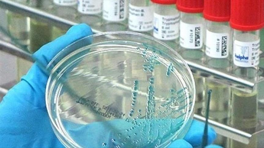 Azərbaycanda hantavirusa yoluxma varmı?
