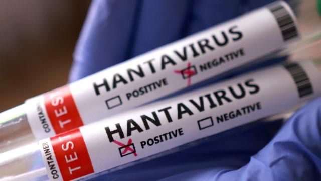 Türkiyə vətəndaşlarının test nəticələri mənfidir 