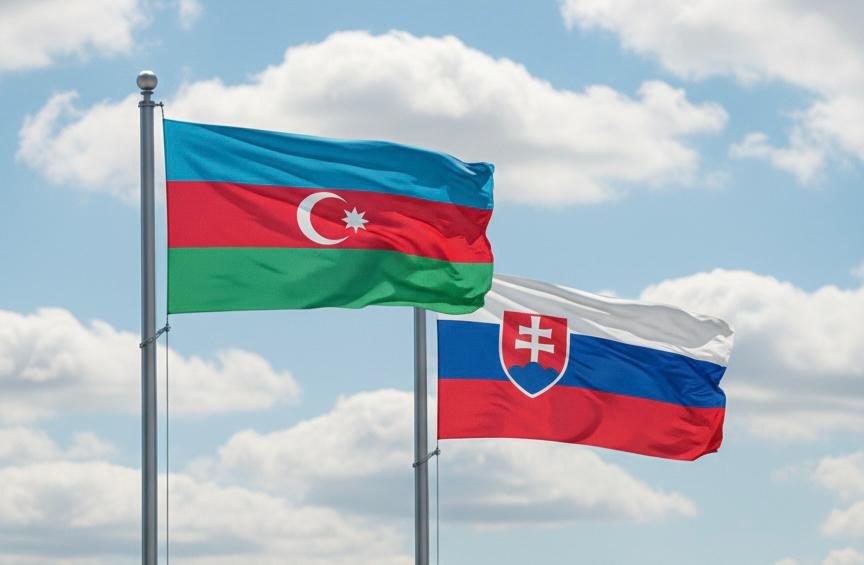 "Azərbaycanın dəstəyinə ehtiyacımız var” -Slovakiyadan mesaj