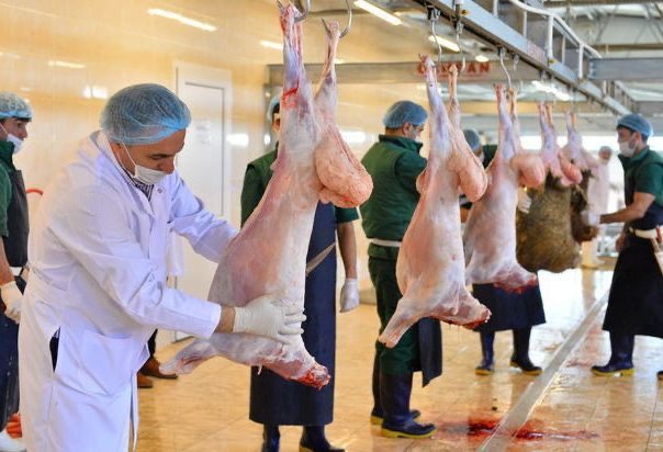 Bayramı təhlükəsiz qarşılayaq: AQTA-nın yeni qaydaları və ekspert tövsiyələri