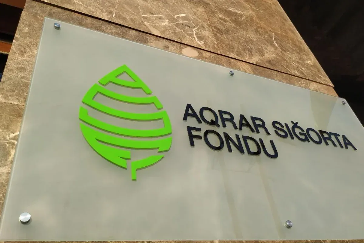 Təbii fəlakətlərin zərərlərini necə qarşılamaq olar?