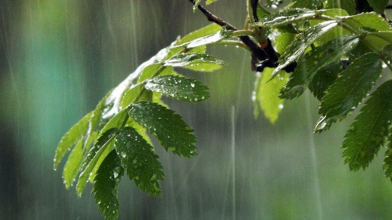 Ölkə ərazisinin əksər yerlərində şimşək çaxır, yağış yağır