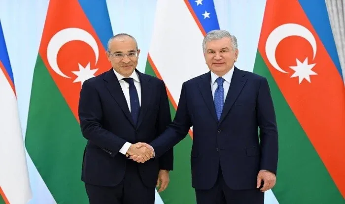 Şövkət Mirziyayev Mikayıl Cabbarovu qəbul edib