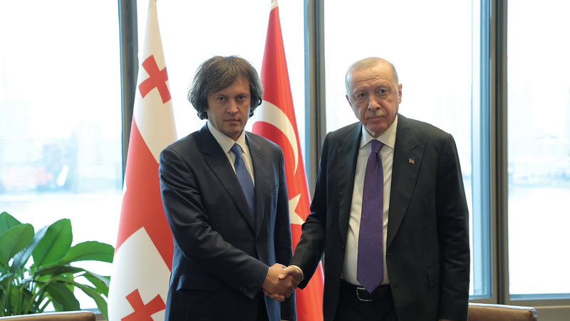 Gürcüstan və Türkiyə liderləri Bakı-Tbilisi-Qars dəmir yolunu müzakirə ediblər