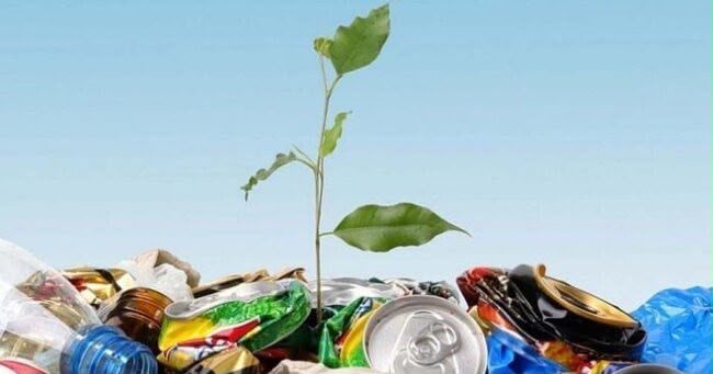 Birdəfəlik plastik qablar: Bir neçə dəqiqəlik rahatlıq, yüzlərlə illik təhlükə